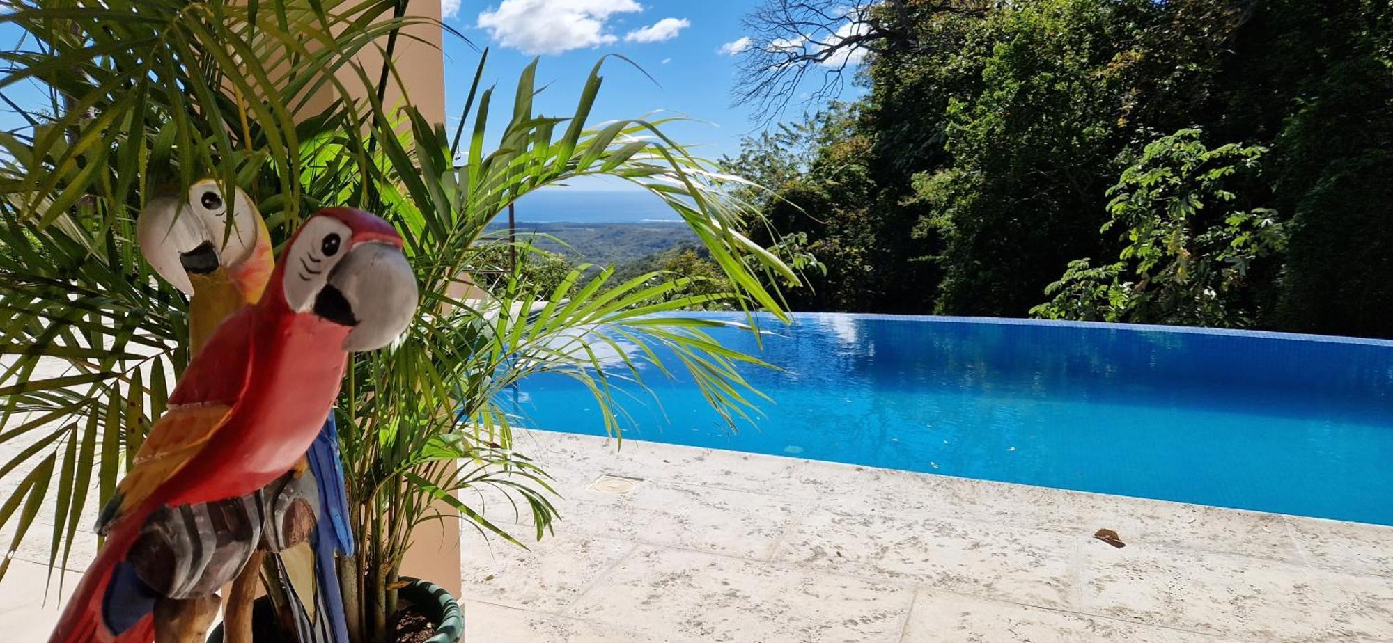 Vista Mar Y Monos Bed & Breakfast Sámara Exterior foto